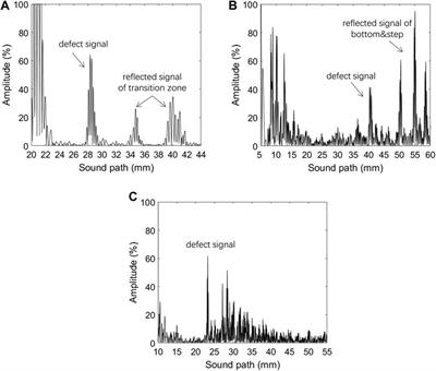 Compact Multi-Element Ultrasonic Transducer for Inspecting Split Pins in Nuclear Power Plants